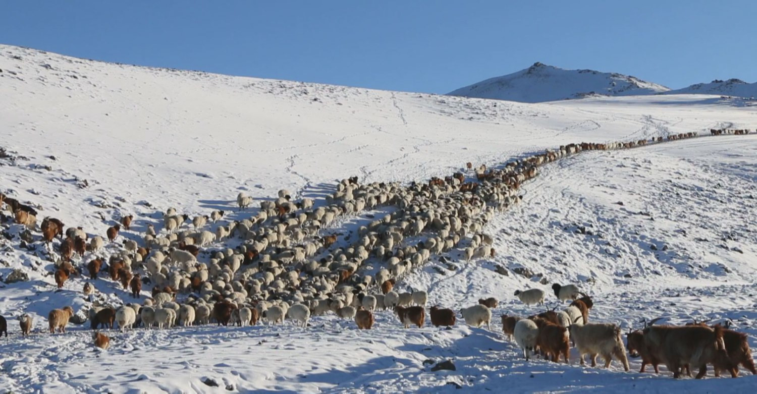 НИЙТ НУТГИЙН 68 ХУВЬД ЦАСТАЙ БАЙНА
